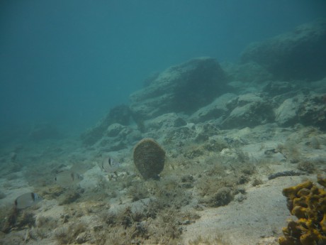 P1280585