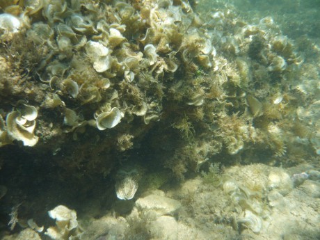 P1290813