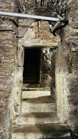 IMG_3926