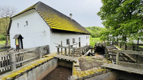 IMG_3970