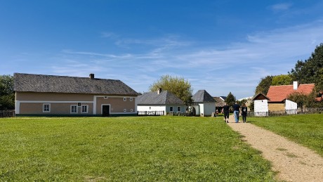 IMG_5391