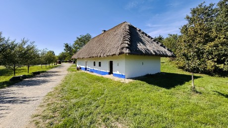 IMG_5398