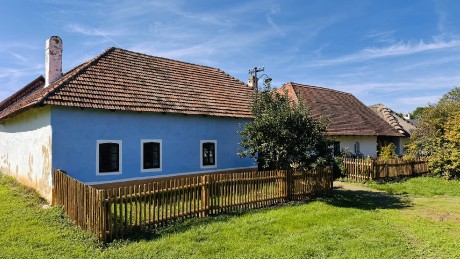IMG_5404