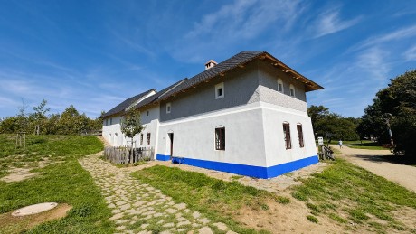 IMG_5407