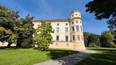 IMG_5411