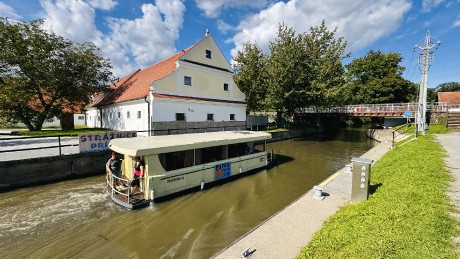 IMG_5425