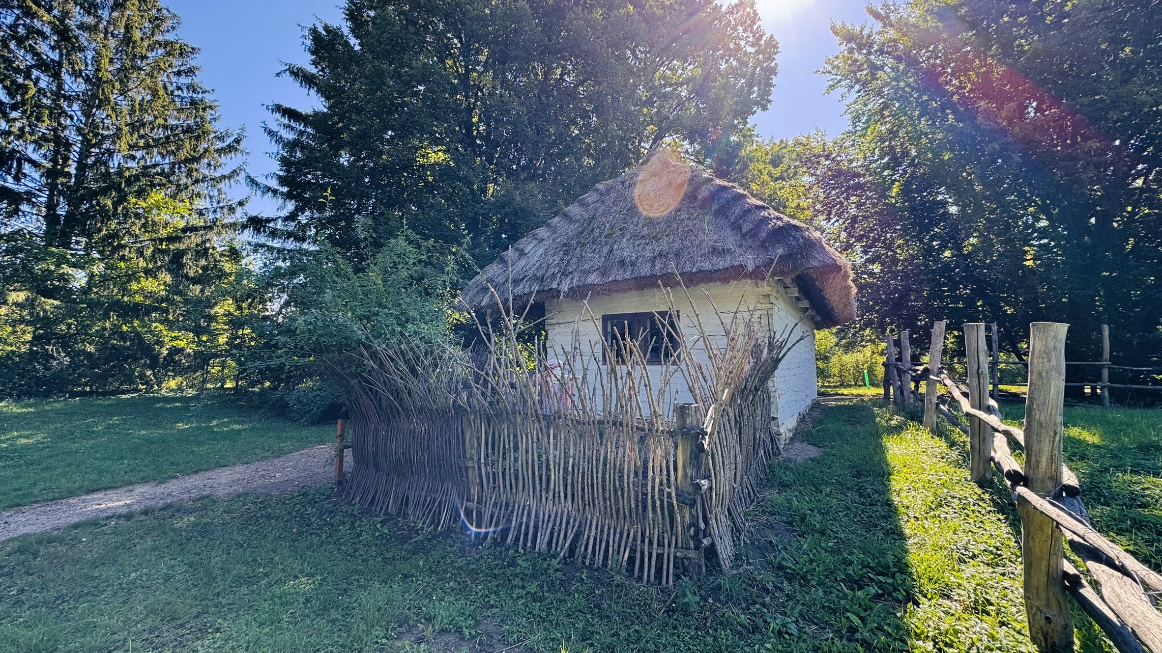 IMG_5390