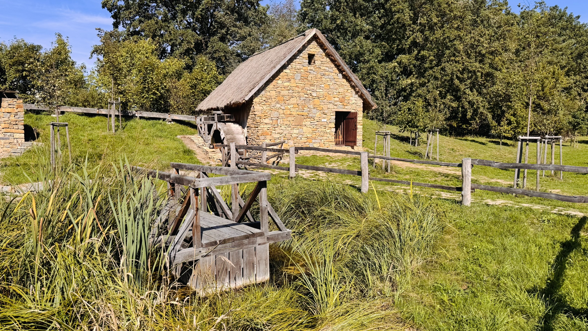 IMG_5408